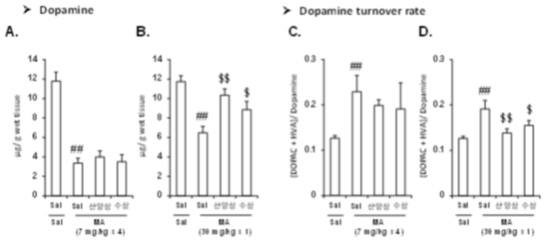 메탐페타민 (MA)에 의한 선조체 조직에서의 도파민 농도 (A, B)의 감소와 도파민 회전율 (C, D)의 증가에 대한 산양삼의 약리효과. MA는 각각 7 mg/kg을 4회 투여하는 방법 (A, C)과 30 mg/kg을 1회 투여하는 방법 (B, D)을 적용하였음. 각 수치는 5 마리의 평균 ± 표준오차를 의미함.