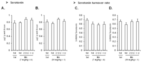 메탐페타민 (MA) 투여 후 선조체 조직에서의 세로토닌 농도 (A, B)와 세로토닌 회전율 (C, D)의 변화 및 이에 대한 산양삼의 약리효과. MA는 각각 7 mg/kg을 4회 투여하는 방법 (A, C)과 30 mg/kg을 1회 투여하는 방법 (B, D)을 적용하였음. 각 수치는 5 마리의 평균 ± 표준오차를 의미함.