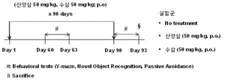 약물처리 일정 및 실험군