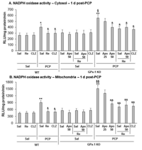 야생형 생쥐 (WT)와 GPx-1 KO 생쥐에서 PCP로 유도된 세포질 분획 (A)과 미토콘드리아 분획 (B)에서의 PHOX 활성에 대한 ginsenoside Re의 효과.