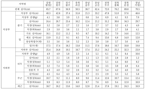 시험구 내의 6년근 산양삼의 형태