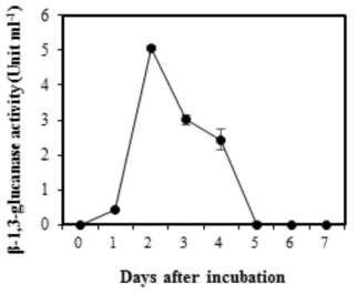 배양일수에 따른 기능성 액체 미생물비료 β-1,3-glucanase activity