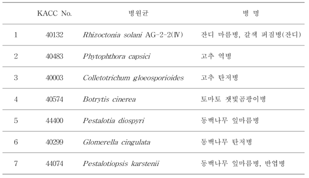 항균 활성 검정에 이용된 식물 병원성 곰팡이의 종류