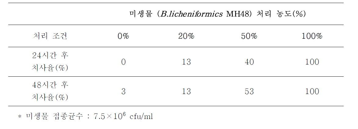 미생물(B. licheniformis MH48) 처리 농도에 따른 살충률