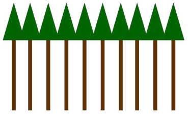 단순한 구조의 산림