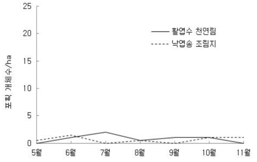 산림관리 전 활엽수 천연림과 낙엽송 조림지에서 흰넓적다리붉은쥐의 월별 포획된 평균 개체수 추이