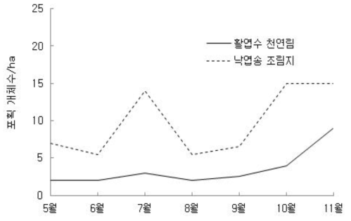 산림관리 후 활엽수 천연림과 낙엽송 조림지에서 등줄쥐의 월별 포획된 평균 개체수 추이