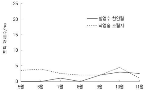 산림관리 후 활엽수 천연림과 낙엽송 조림지에서 흰넓적다리붉은쥐의 월별 포획된 평균 개체수 추이