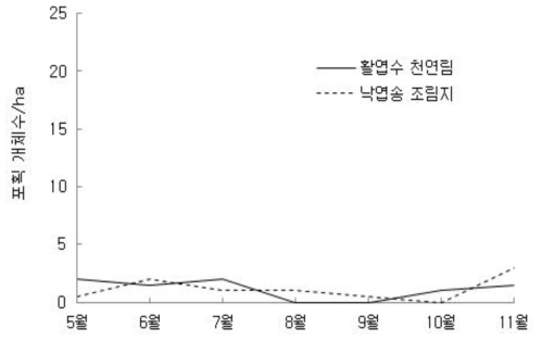 산림관리 후 활엽수 천연림과 낙엽송 조림지에서 대륙밭쥐의 월별 포획된 평균 개체수 추이