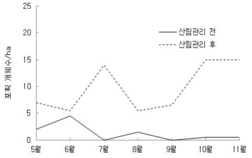 산림관리 전과 후 낙엽송 조림지에서 등줄쥐의 월별 포획된 평균 개체수 추이