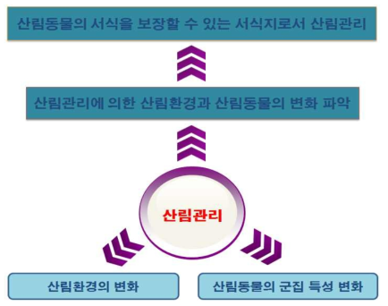 연구개발의 추진 체계