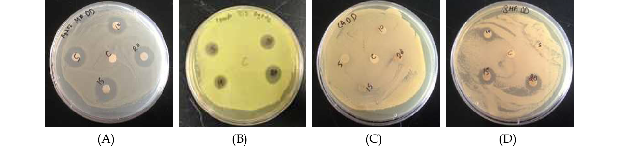 (Ag-SiO2) Disk Diffusion images for Pseudomonas aeruginosa, Shewanella gaetbuli, Clostridium, Listeria monocytogen, (A)Shewanella gaetbuli, (B)Pseudomonas aeruginosa, (C)Clostrium, (D)Listeria monocytogenes