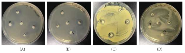 (Ag-Zn) Disk Diffusion images for Pseudomonas aeruginosa, Shewanella gaetbuli, Clostridium, Listeria monocytogen, (A)Shewanella gaetbuli, (B)Pseudomonas aeruginosa, (C)Clostrium, (D)Listeria monocytogenes