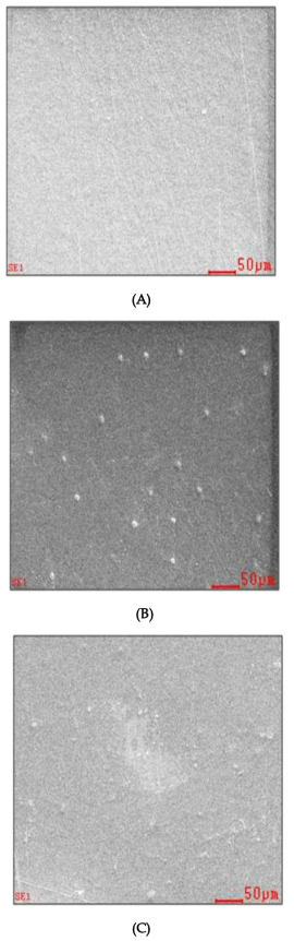 필름 표면 분석 FESEM image (A):PE 필름, (B):황토 필름, (C): ZnS항균 필름