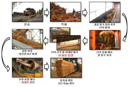 오일팜 EFB의 DLF Bale 가공 공정 개요 및 섬유자원화 방향