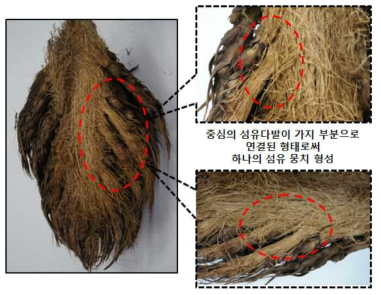 오일팜 EFB의 섬유뭉치 형성 형태