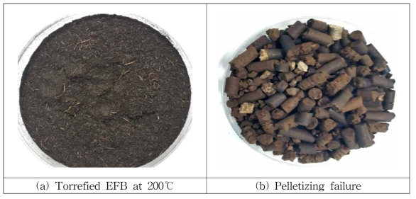 반탄화된 EFB와 펠릿 성형 불량