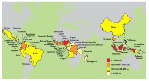 전 세계 오일팜 재배 국가 분포
