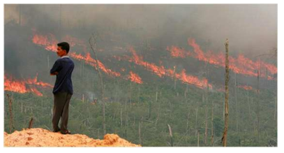 2006년 인도네시아 Riau 지역의 산불
