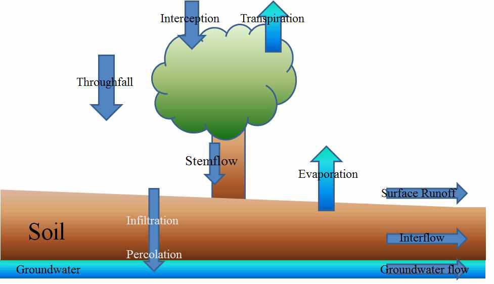 산림 지역 수분 수지의 구성 요소