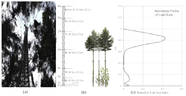 (a) 광릉침엽수림 상/하부의 난류관측을 위한 산악기상관측 시스템 현장사진 및 (b) 모식도, (c) 침엽수림의 잎면적 지수 프로파일
