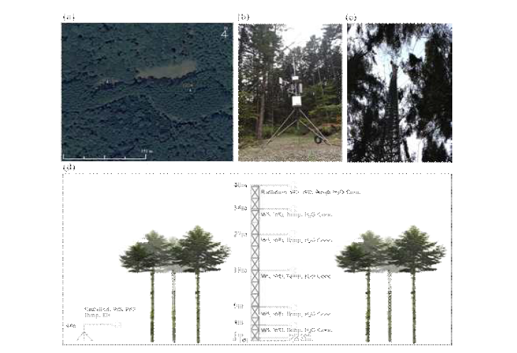 (a) 개벌지 관측지와 침엽수림 프로파일 위치(image source: google maps). (b) 개벌지 자동기상 관측타워 사진 (c) 광릉 침엽수림 프로파일 타워 사진 (d) 개벌지와 광릉 침엽수림 프로파일 타워 구조