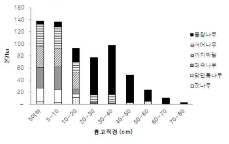 2004년 광릉 활엽수림 졸참나무림의 주요 수종 흉고직경분포.