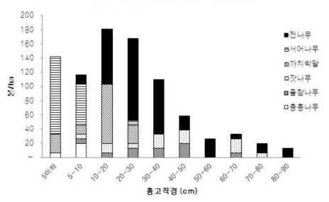 2004년 광릉 침엽수림 전나무림의 주요 수종 흉고직경분포.