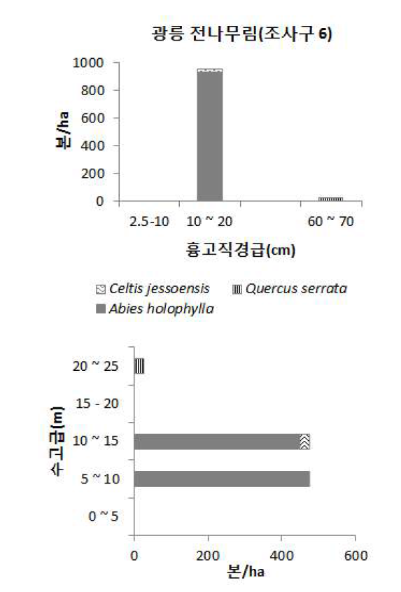 2013년 광릉 전나무림(조사구 7)의 주요 수종 흉고직경분포(위). 수고분포(아래)