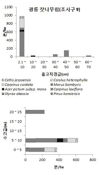 2013년 광릉 잣나무림(조사구 9)의 주요 수종 흉고직경분포(위) 수고분포(아래)