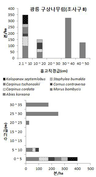 2013년 광릉 구상나무림(조사구 8)의 주요 수종 흉고직경분포(위) 수고분포(아래)