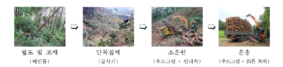 현행 사유림에서 시행하는 목재수확 생산체계