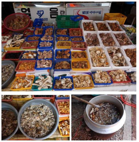 여러 가지 자연버섯을 바구니에 담아 판매하는 모습(위) 염장한 버섯을 판매하는 모습(좌하), 끓여낸 후 판매하는 모습(우하).