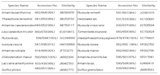 Identification of ectomycorrhizal root tips collected in study sites using ITS rDNA sequence.