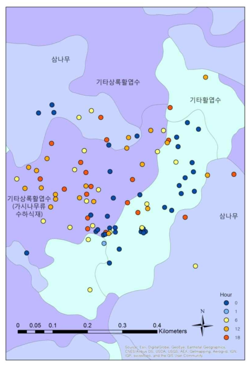 비번식기 암컷 노루의 임상별, 각 시간대 분포(어두운군청색 계열-야간)