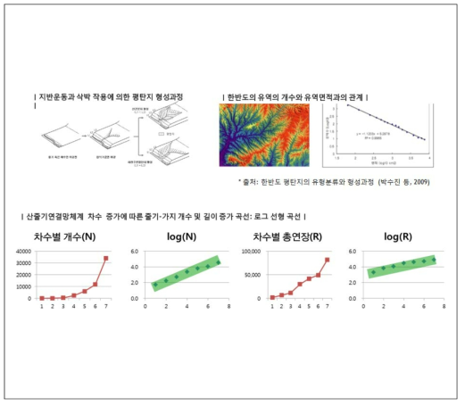 산줄기연결망 체계 줄기-가지 개수 및 면적관계