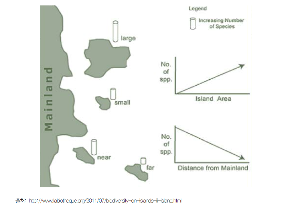 섬의 크기, 본토와의 거리에 따른 서식 생물 종 수의 변화