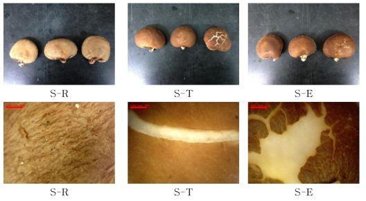 표고버섯의 세척 전후 비교