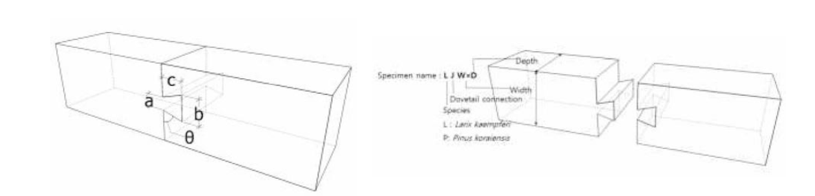Definition of specimen name and geometric factors in dovetail connection