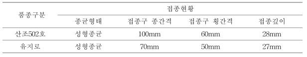 시험 표고자목 접종현황