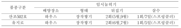 시험 표고접종목 초기 배양관리