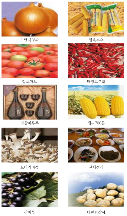 평창군 대표먹거리특산품 사진