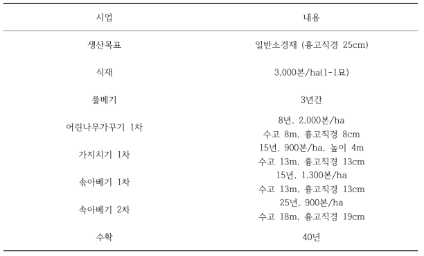 연차별 낙엽송 산림시업 내용