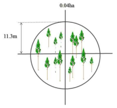 산림조사 표본점 구조