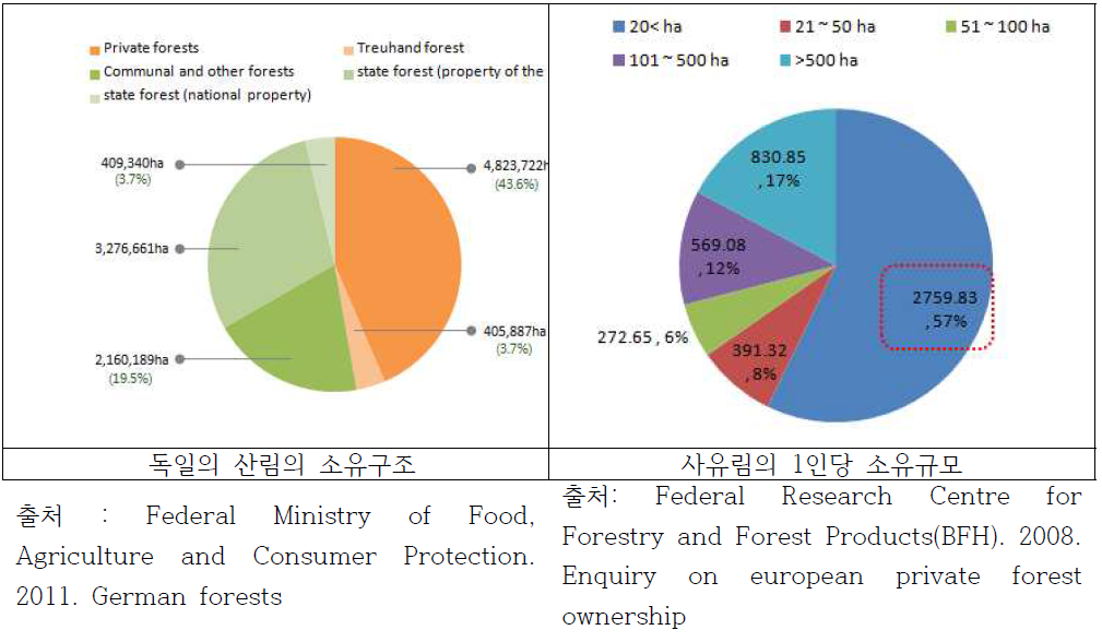 독일의 사유림 현황
