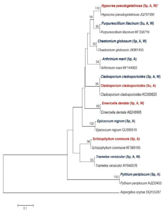 Internal transcribed spacer sequence를 이용한 청양과 장흥에 소재한 재배사내 공기 중에 존재하는 진균의 phylogenetic analysis