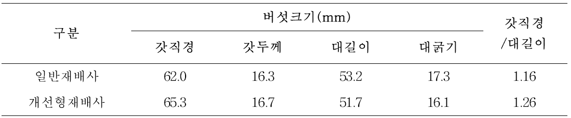 하절기 재배기간 버섯자실체 특성조사