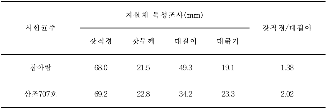 동절기재배 시험균주별 자실체 특성