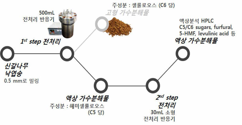 Two step 전처리 및 액상가수분해물 분석 연구 진행 모식도