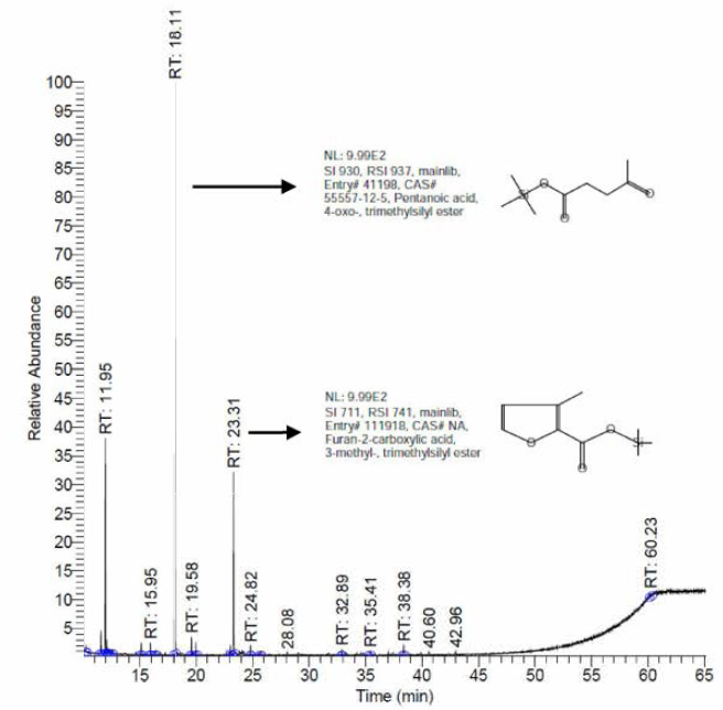 Ethyl acetate를 이용한 용매 추출 결과 액상 가수분해물 중 organic phase의 추출 후 크로마토그램